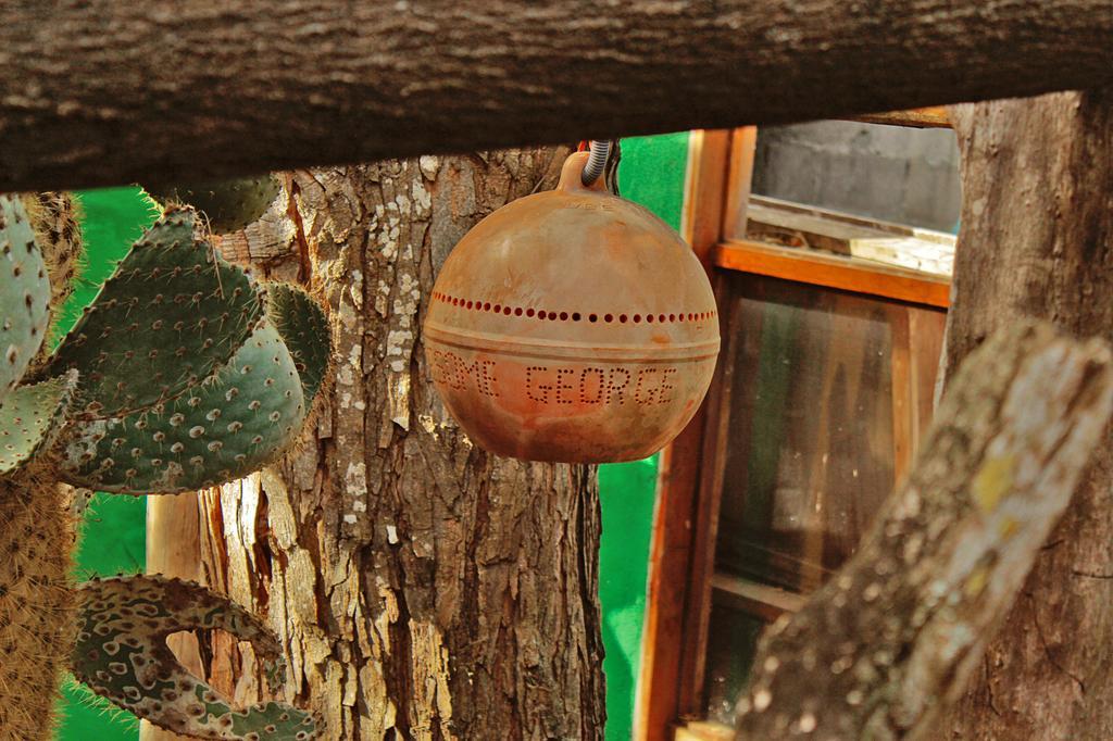 Lonesome George Ecolodge Puerto Ayora  Esterno foto