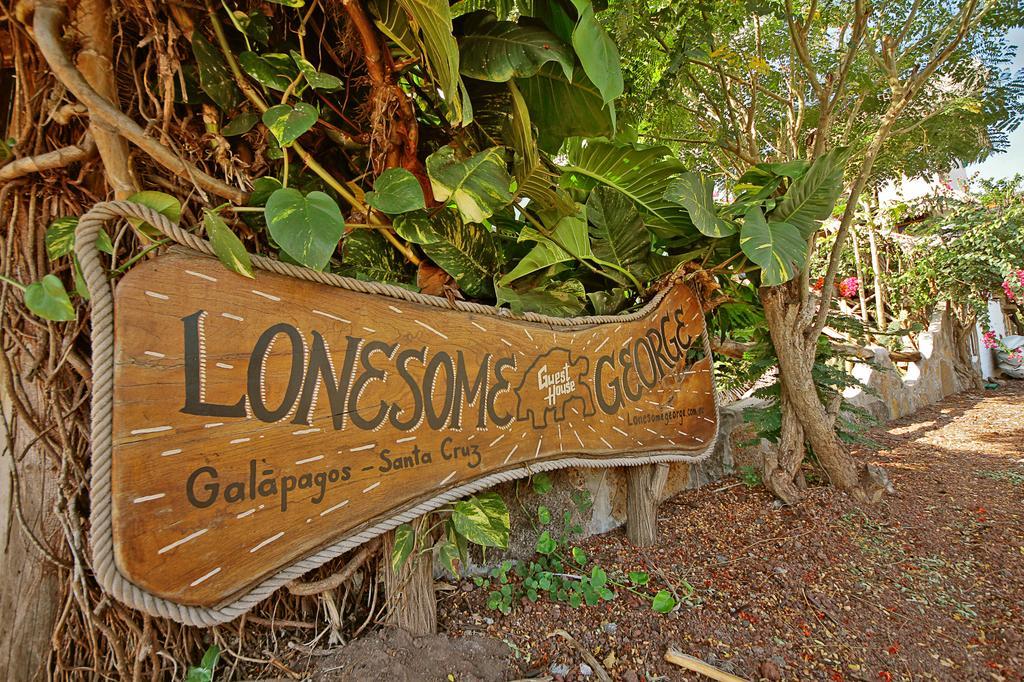 Lonesome George Ecolodge Puerto Ayora  Esterno foto